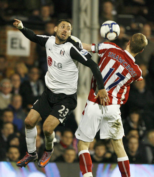 马显得更为 马显得更为